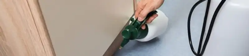 Bed bug exterminator treating baseboards and cracks with targeted spray in Philadelphia, PA