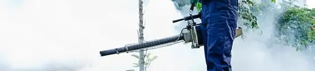Pest control technician fogging an outdoor area for insect control in Philadelphia, PA