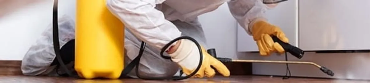 Roach exterminator treating cracks and crevices along kitchen baseboards in Philadelphia, PA