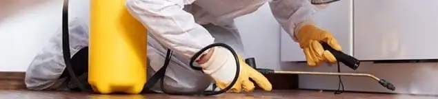 Roach exterminator treating cracks and crevices along kitchen baseboards in Philadelphia, PA