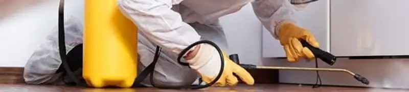 Roach exterminator treating cracks and crevices along kitchen baseboards in Philadelphia, PA