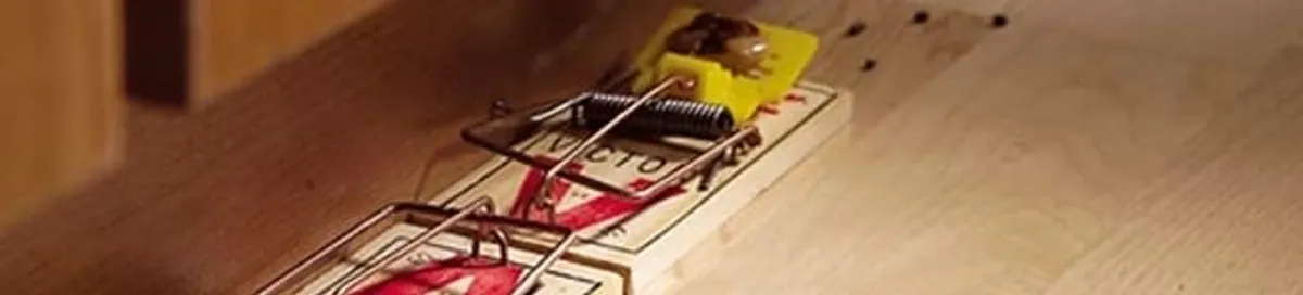 Rodent trap set indoors for rodent control and prevention in Philadelphia, PA