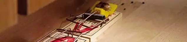 Rodent trap set indoors for rodent control and prevention in Philadelphia, PA