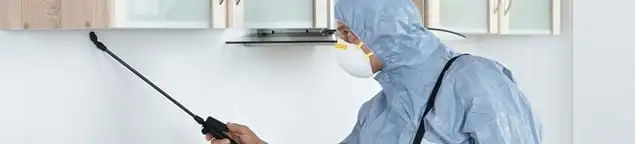 Termite treatment technician applying indoor pest control spray in Philadelphia, PA